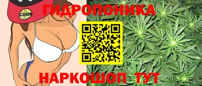 соль курить ск Аргун