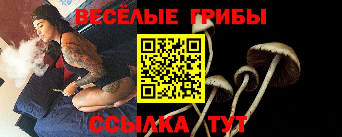 Псилоцибиновые грибы GOLDEN TEACHER  Жуковский  Галлюциногенные грибы ЛСД 